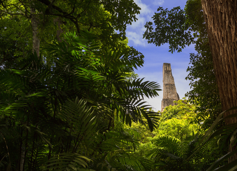 Circuit Guatemala, Sur la Piste du Quetzal et Belize - 24