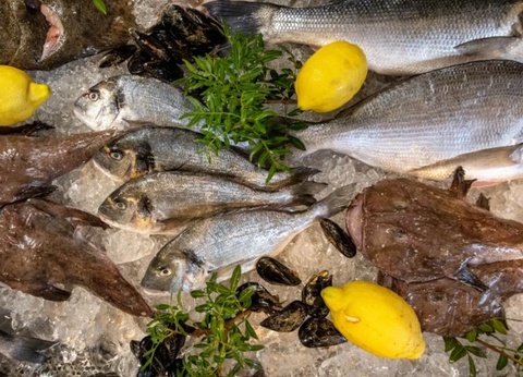 Talaia Plaza Ecoresort - 64