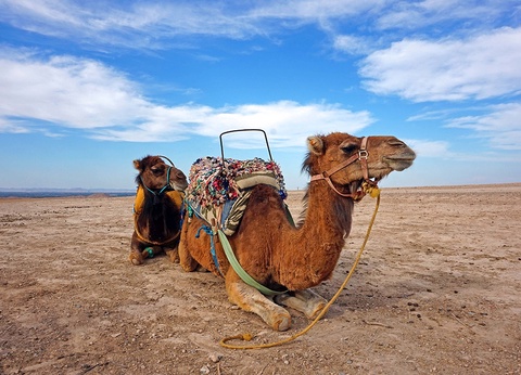 Circuit Entre Mer et Désert - 14