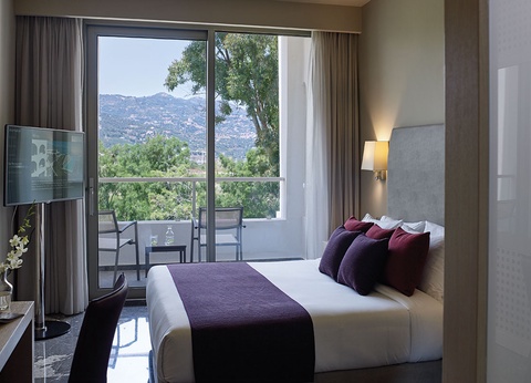 Hôtel Atlantica Akti Zeus 4* - 9