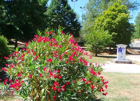 Flower Camping Le Lac De Thesauque, 3* - 11