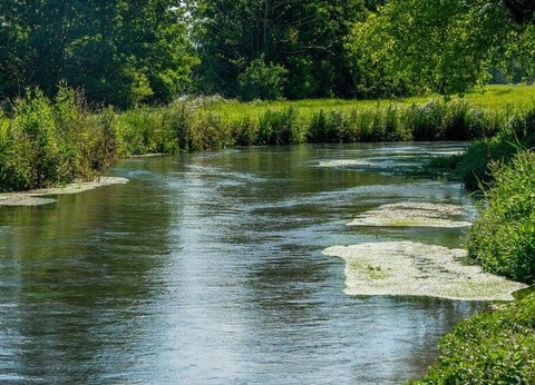 Flower Camping des 2 Rivières 3* - 17