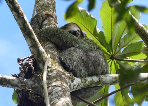 Road Trip Le Costa Rica en famille - 16