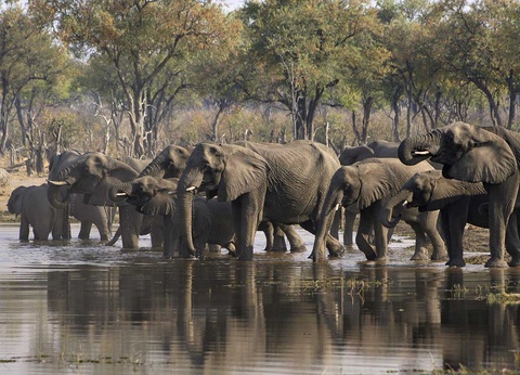 Circuit Inoubliable Botswana - 3