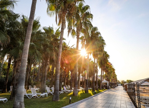 Hôtel Miramare Beach 5* - 14