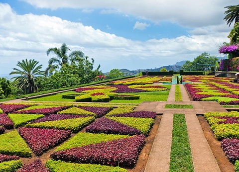 Circuit Aventuriers de Madère + Vila Gale Santa Cruz 4* - 13