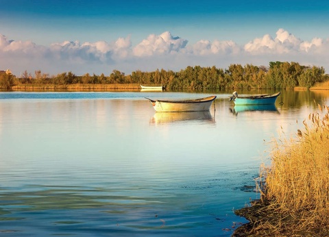 Pied à terre ideál à Perpignan dans un bel hotel avec piscine - 4* - 11