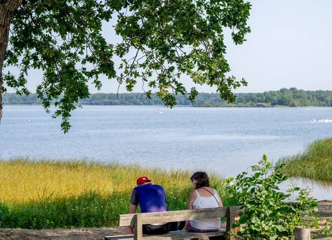 Camping Rivages des Landes 4* - 8