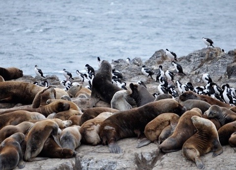Circuit L'Argentine des grands espaces + pré-tour Ushuaia (maximum 16 participants) - 9