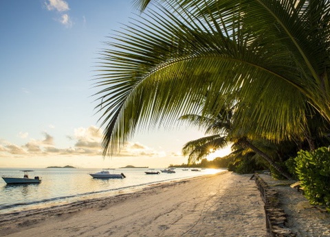 Hôtel Indian Ocean 4* - 4