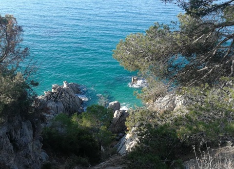 Camping Cala Llevado, 4* - 31