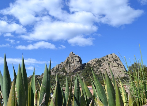 Résidence Sapa di Cala ( avec vols vacances ) - 6