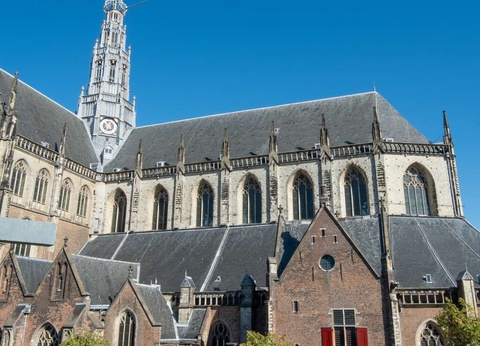 Découvrez Haarlem et les célèbres champs de tulipes de Keukenhof - 3* - 31