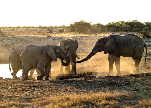 Circuit Essence de l'Afrique du Sud : du Cap aux terres sauvages **** - 11