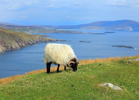 Circuit Les deux Irlandes - Budget malin - 3