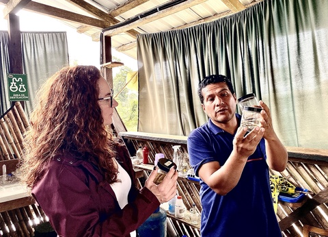 Circuit Sur la Route des Volcans - 15