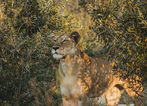 Circuit Essence de l'Afrique du Sud : du Cap aux terres sauvages **** - 19