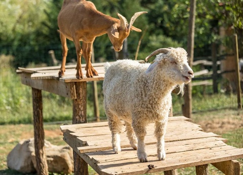 Camping La Nouzarède, 3* - 15