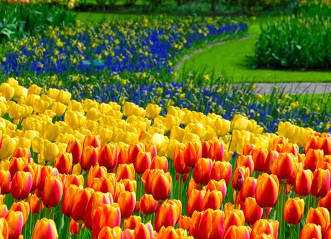 Découvrez Scheveningen et le Keukenhof en un week-end - 3* - 27