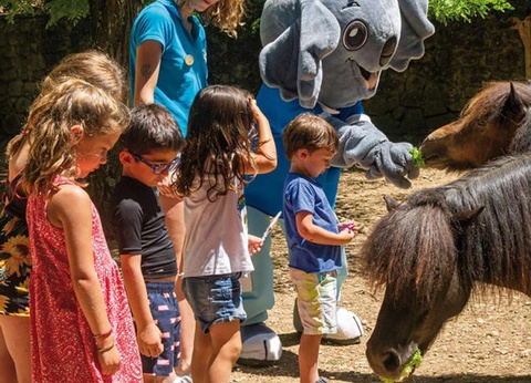 Domaine Château Laval, 3* - 30