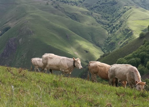 Camping Landes Azur, 4* - 84