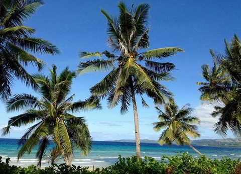 Couleurs Philippines + extension Visayas et séjour Panglao 3*sup - 14