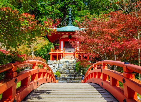 Circuit De Séoul à Tokyo, histoire et traditions 3* - 12