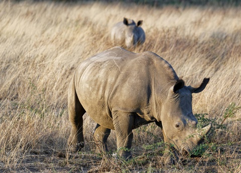 Circuit Éclats de l'Afrique australe **** - 8