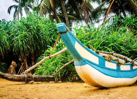 Circuit L'essentiel du Sri Lanka et plage de Kalutara - 11