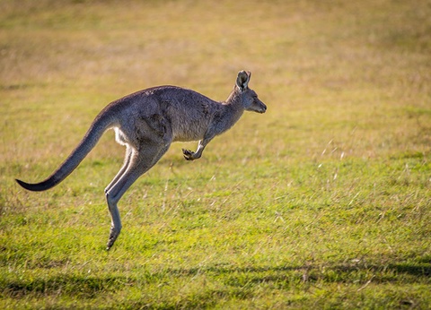Circuit L'Australie, à la découverte d'un continent - 7