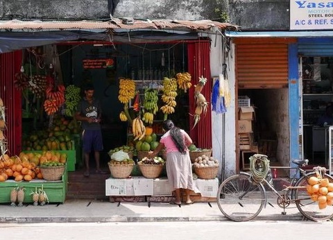 Circuit Carpe Diem au Sri Lanka - 21