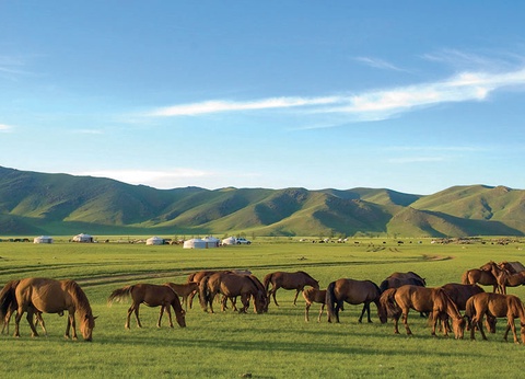 La Mongolie, au Pays du Grand Ciel (petit groupe - 6-12 pers.) - 10