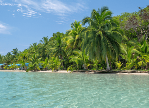 Circuit Dans le Sillage des Corsaires : De Panama à Bocas del Toro - 46