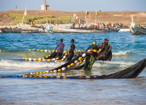 Circuit Beautés du Sénégal et Extension Framissima Palm Beach - 5