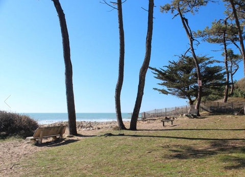 Camping Le Bosquet - 8