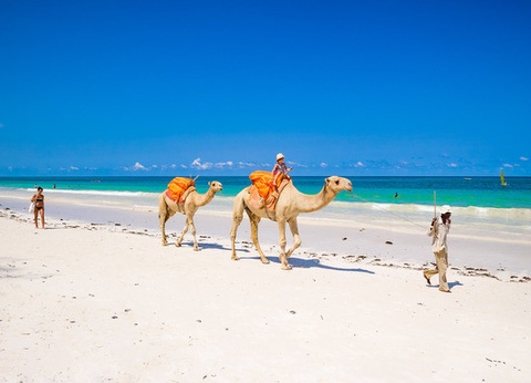 Hôtel Diani Sea Resort 4* - 11