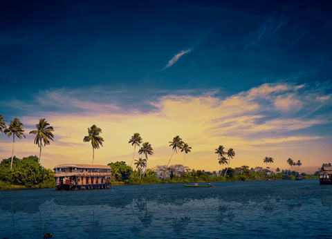 Circuit Merveilles du Kerala en Privatif - 41