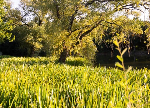 Camping Campilo, 4* - 34