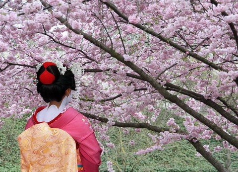 Samourais et Jardins zen - Japon - 10