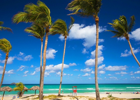 Hotel Starfish Cuatro Palmas 4* - 15