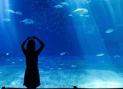 Camping Domaine de La Pinede, 3* - 23