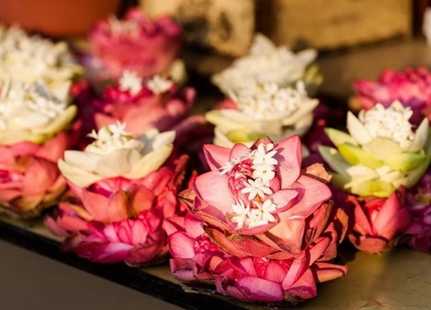 Circuit privé Ceylan buissonnier - 22