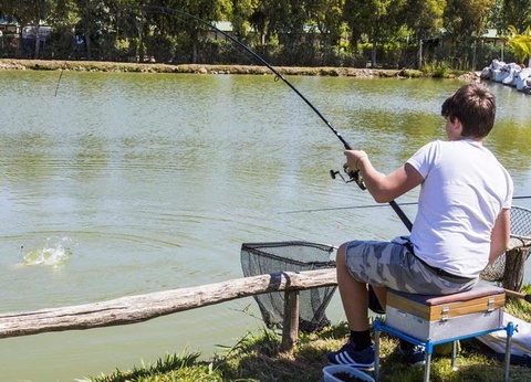 Camping Free Time, 3* - 48