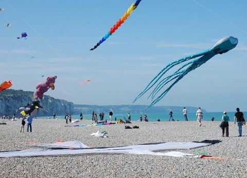 Flower Camping Vitamin, 4* - 37