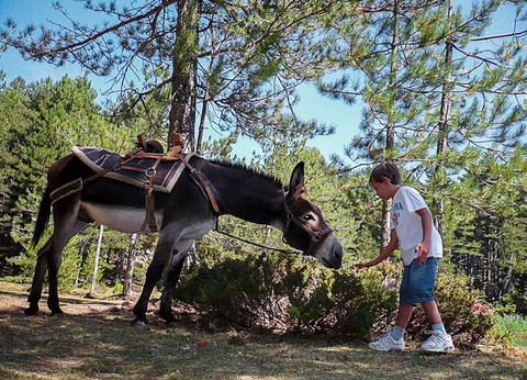 Séjour Corsica, l'île aux enfants à Calvi - 5