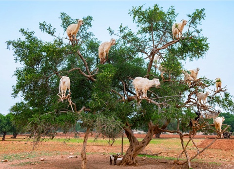 Circuit Entre Mer et Désert - 12