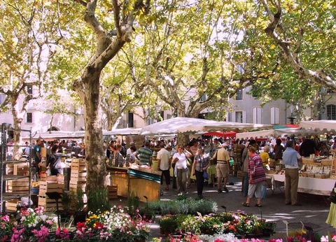 Flower Camping Le Dolium, 4* - 16