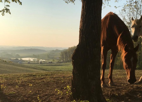 Domaine d'Escapa, 4* - 19