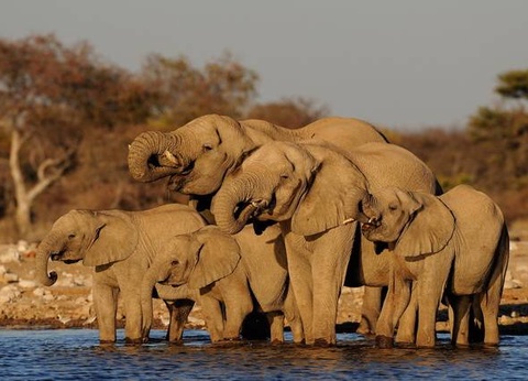 Aventure en Namibie et extension Fish River Canyon - 6