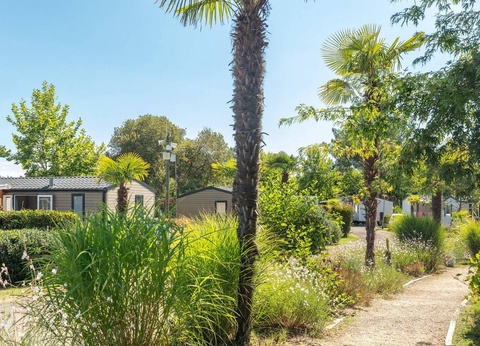 Camping Les Vignes, 5* - 12